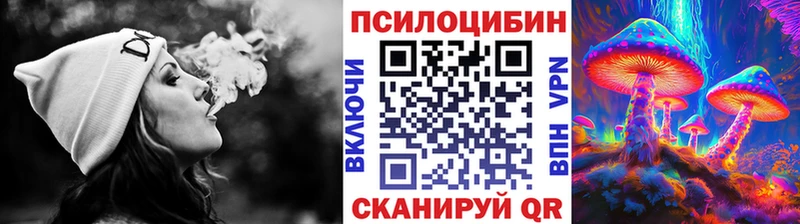 Галлюциногенные грибы MAGIC MUSHROOMS  Купить закладки  Екатеринбург 